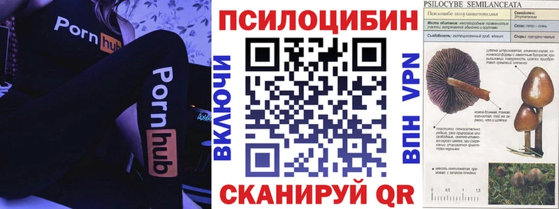 Псилоцибиновые грибы Magic Shrooms продажа наркотиков Красково